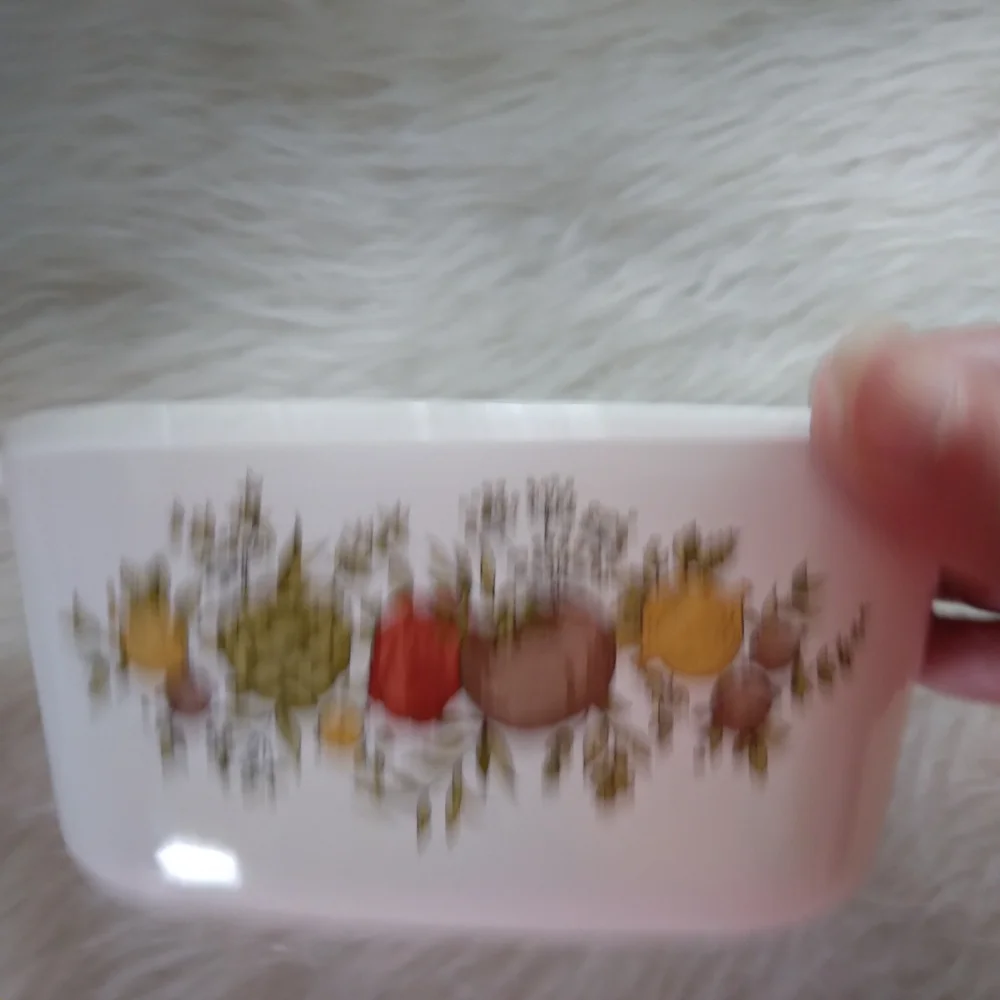 CORNINGWARE Spice Of Life 2 3/4 Cup Petite Casserole W/ Refrigerator Lid P-43-B